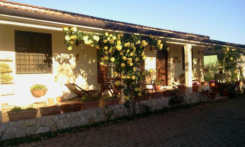 B&B Rolu Formello Zewnętrze zdjęcie